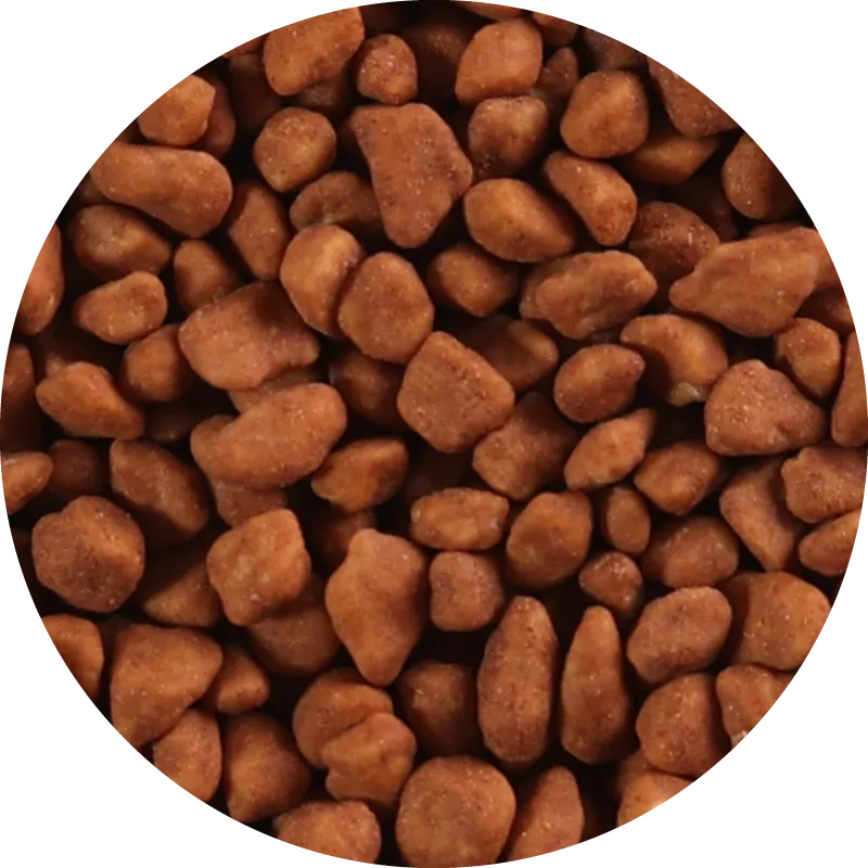 Crunch Cinnamon Medium | Alldra